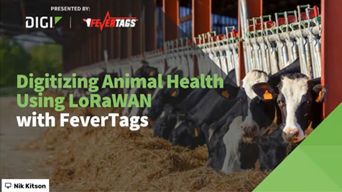 Numérisation de la santé animale grâce à LoRaWAN