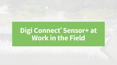 Le Digi Connect Sensor+ à l'œuvre sur le terrain