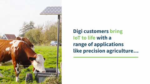 Surveillance des trémies d'aliments pour animaux dans l'agriculture