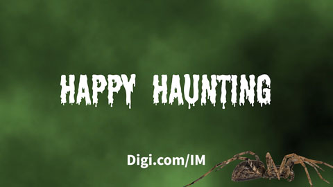 L'horreur des démons informatiques - Un Digi spécial Halloween