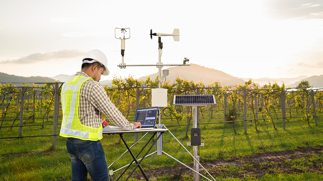 Capteurs de surveillance de l'environnement dans un vignoble