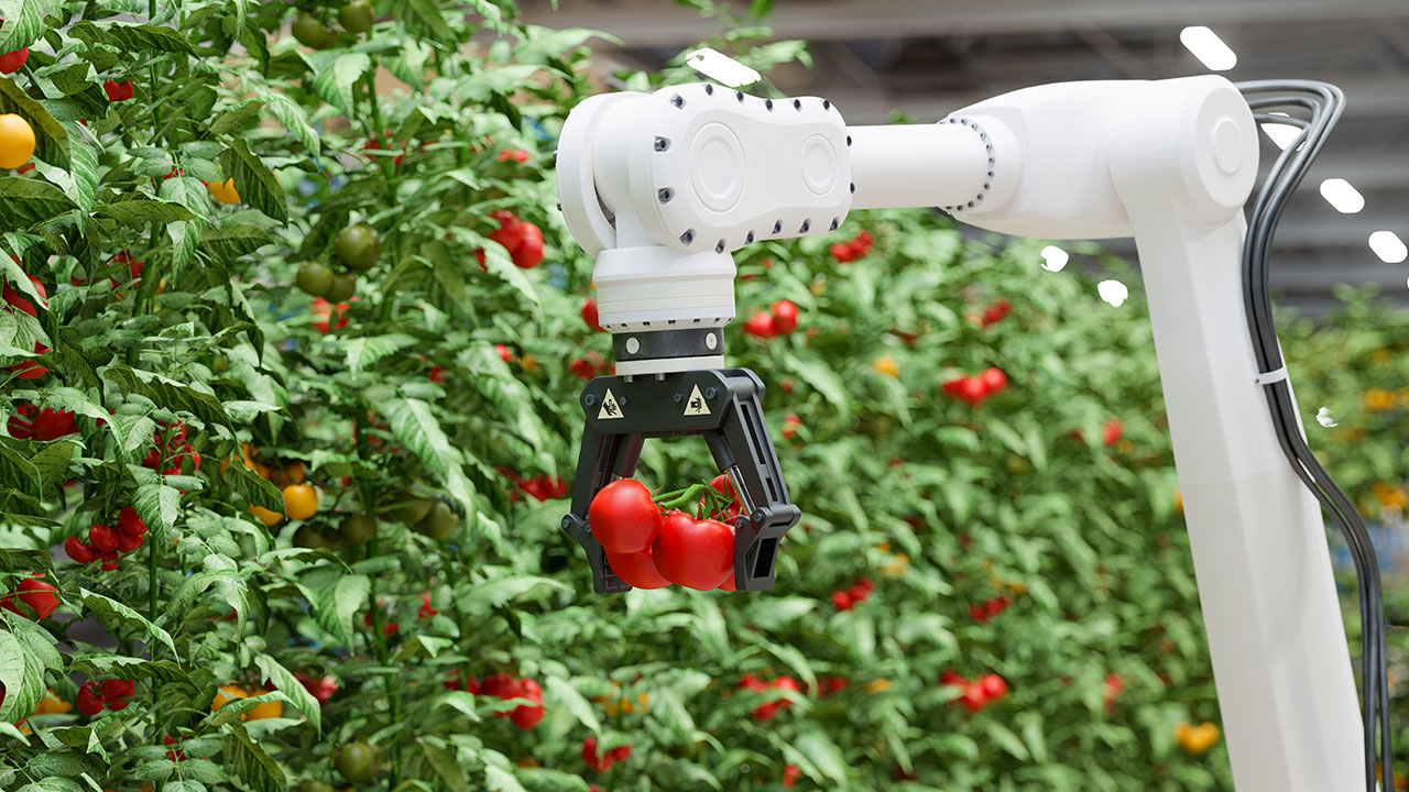 Moissonneuse automatisée