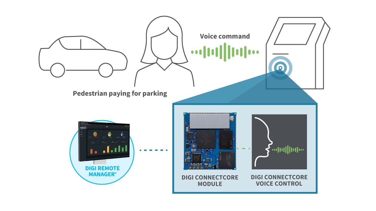 Voice control for parking meters