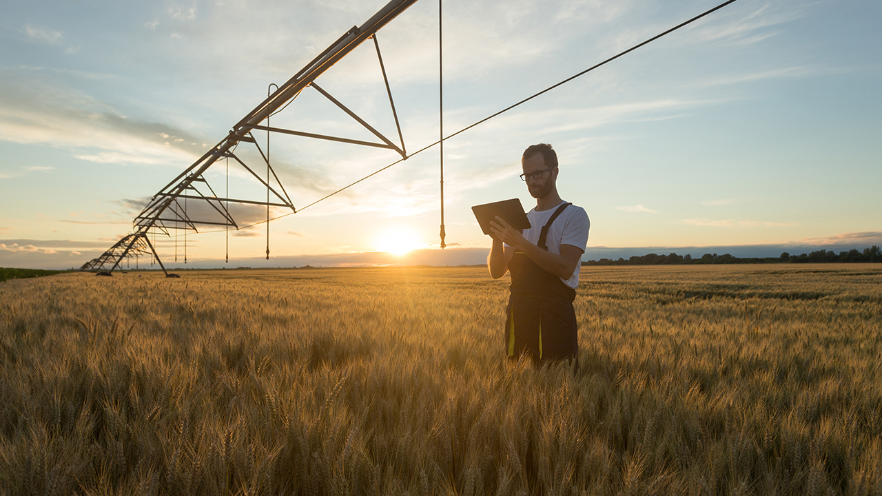 Surveillance de l'irrigation agricole