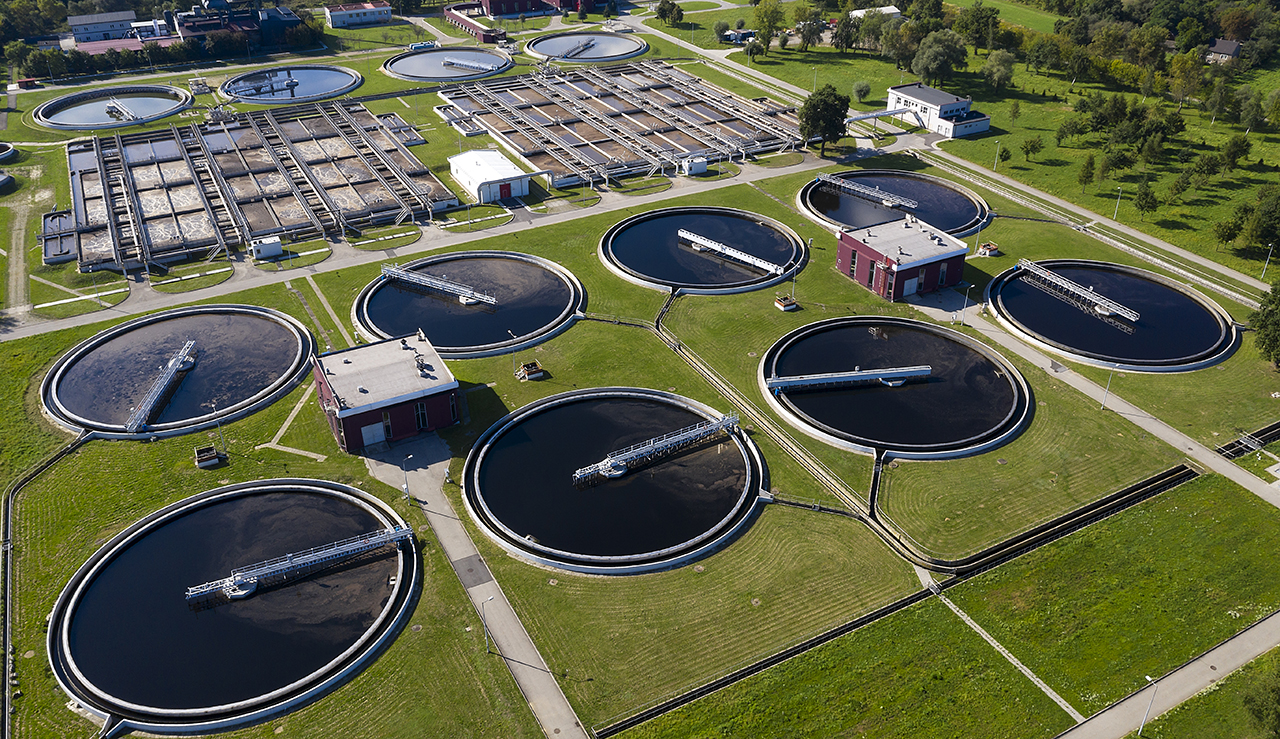 Utilisation des moules pour la surveillance environnementale