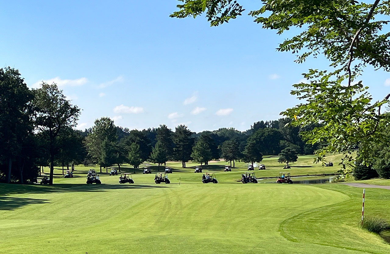 Chariots de golf roulant