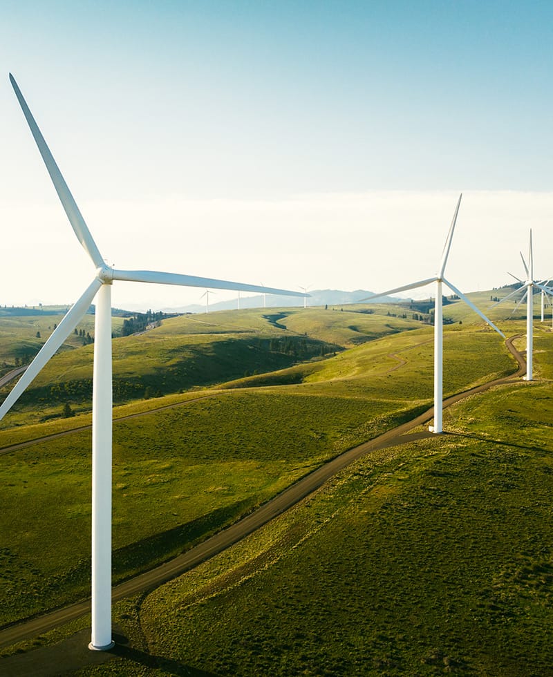 Des éoliennes sur des collines verdoyantes sous un ciel dégagé.