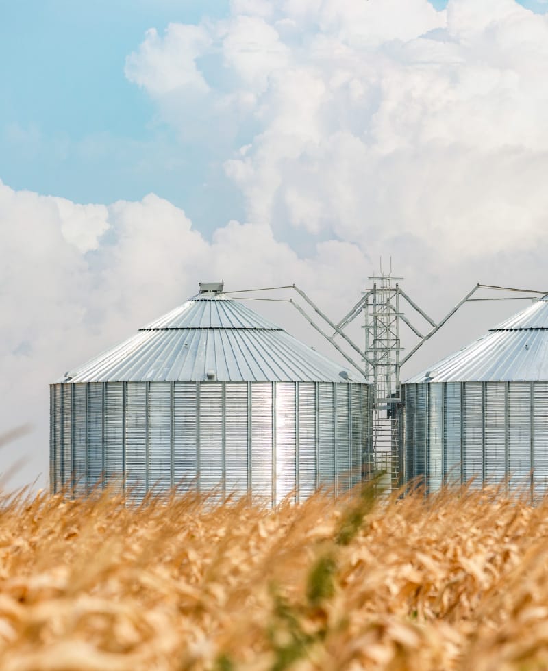 Silos à grains dans un champ avec un ciel bleu et des nuages.