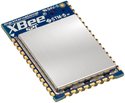 SKU : XB24CAPIS-001